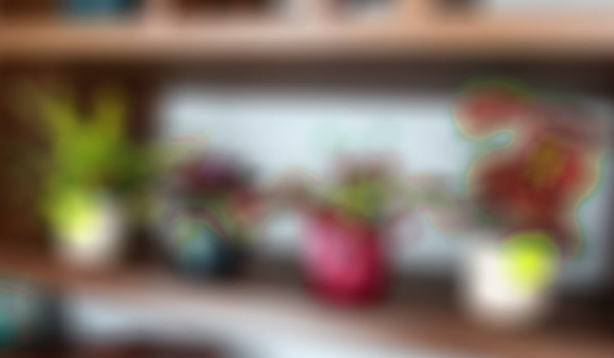 New Plantlike kits coming soon