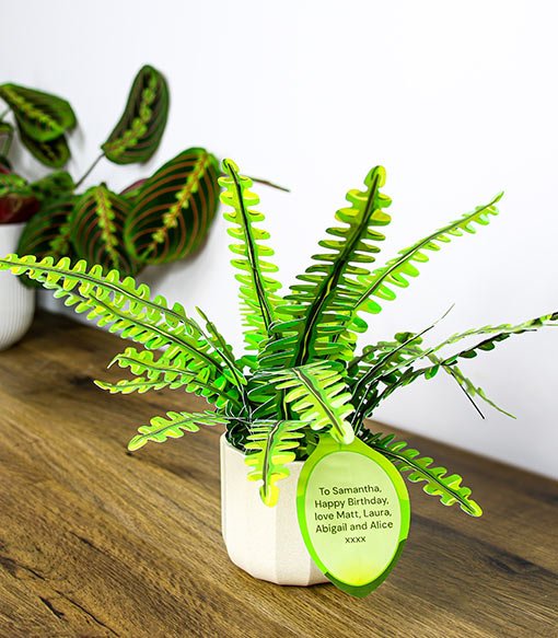A Gift note on display on a Plantlike kit assembled