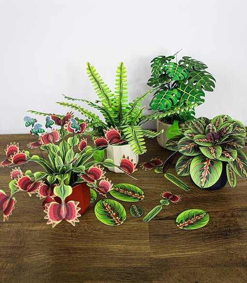 A finished Plantlike paper houseplant display on a desk