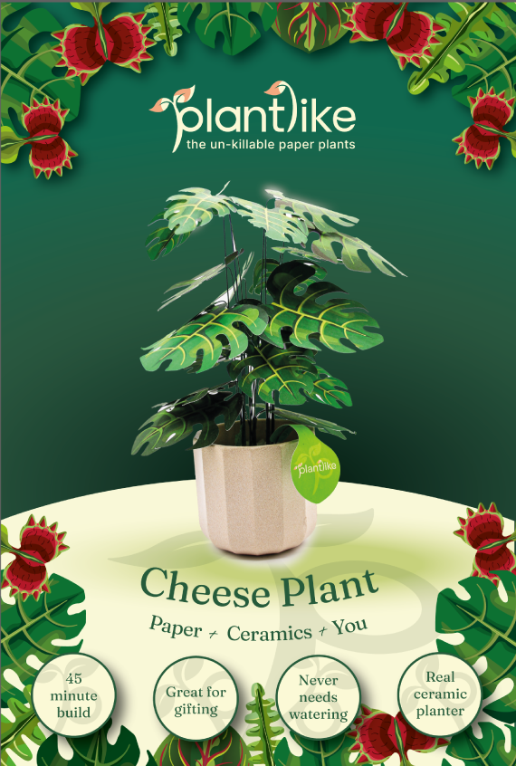 Cheese Plant sample pack