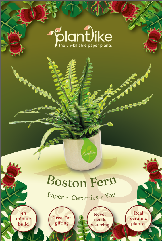 Boston Fern sample pack